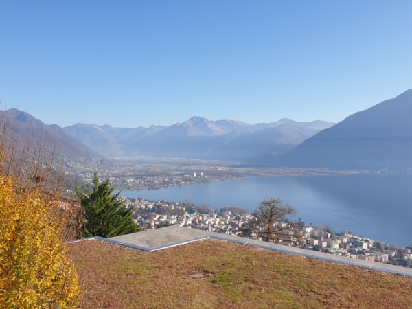 Wanderung Collina Alta